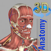 3D Anatomy icon
