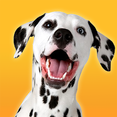 Dalmatian Dog Simulator icon
